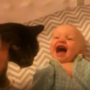 Happy baby with cat