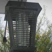 Bug Zapper Light