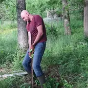 Taras Kul trying to pull a fence post by hand