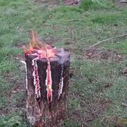 Cut log burning